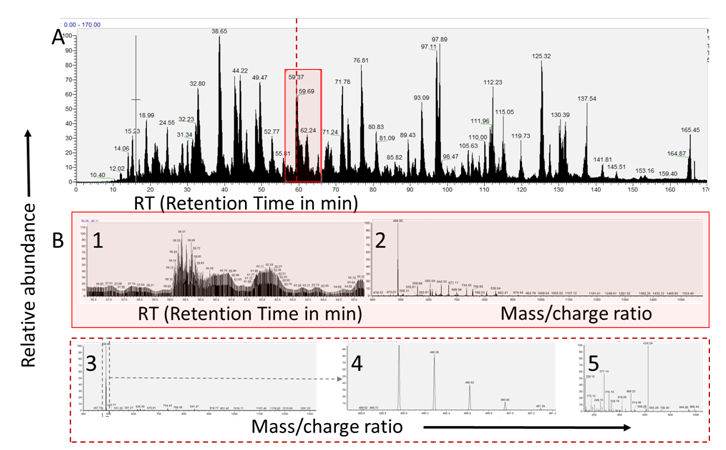 MassSpectra Photo of Mass Spectra diagram
