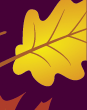 fall leaf image 
