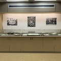 Wide shot of three display cases in exhibit