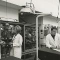  Historical Anatomy Lab Photo, 1965