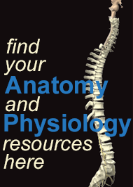Anatomy and Physiology Resources