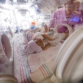 Hospital personnel caressing infant in incubator