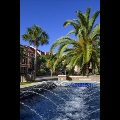 Fountain with palm trees
