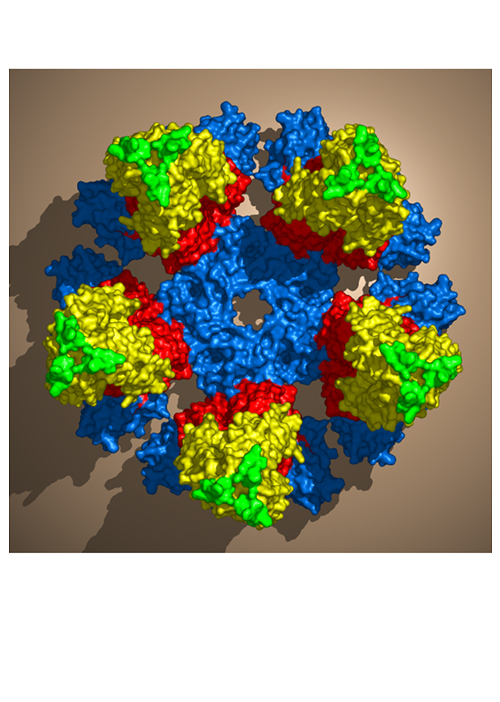 Circular multi-colored virus