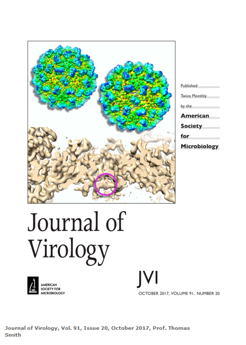 Journal of Virology Cover