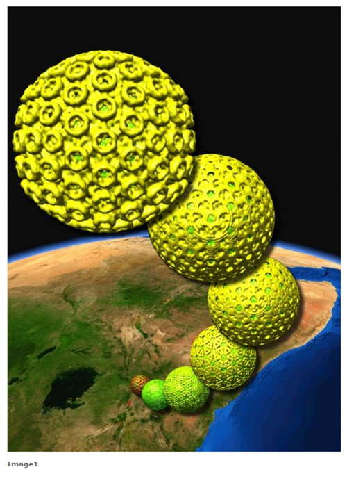 Yellow virus on earth