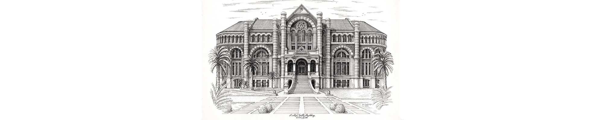 Old Red Ashbel Smith Building Drawing