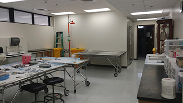 adj_Research-AnatomyLab