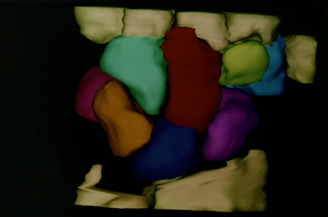 adj_Research-LabHistory3DWrist