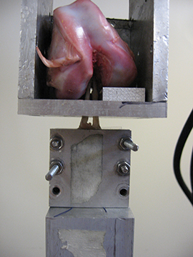 adj_Research-LabHistoryACL