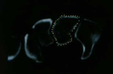 adj_Research-LabHistoryContours