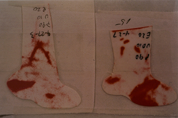 adj_Research-LabHistoryFuji