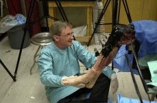 adj_Research-LabHistoryKneeMotion