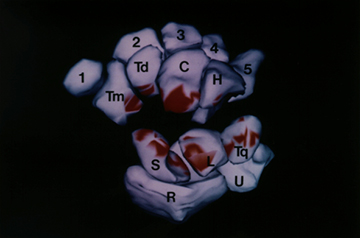 adj_Research-LabHistoryPressureMap