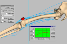 adj_Research-LabHistorySimulation2