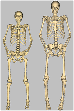 adj_Research-LabHistoryVHF&VHM