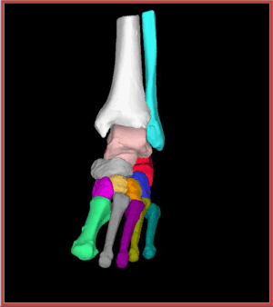 Research-LabHistorySimulation3