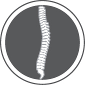 spine-in-circle