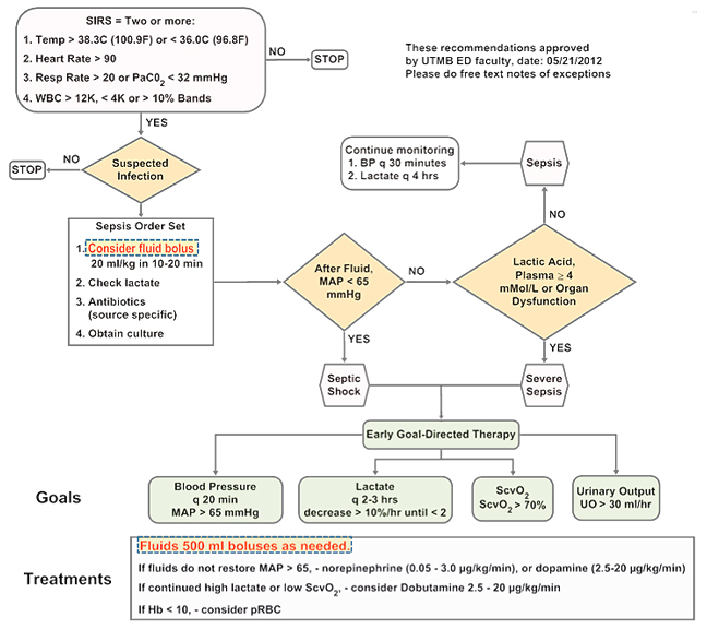 Sepsis Chart Audit Tool