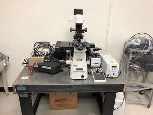 Nikon Swept Field Confocal and TIRF