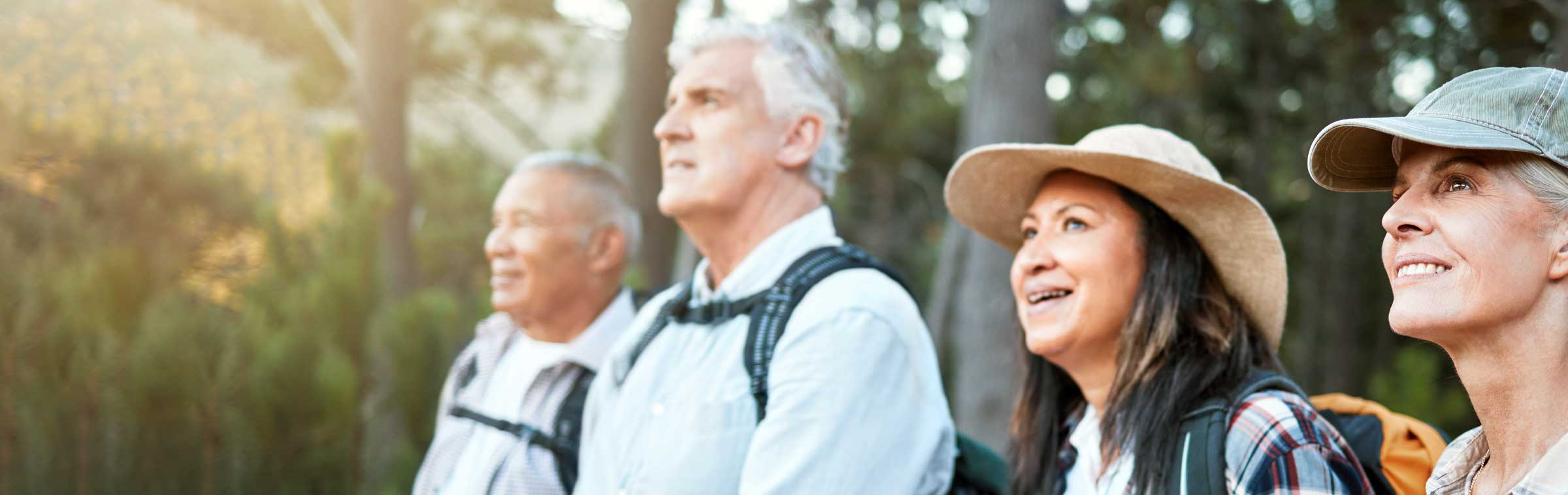 large group of adults of various ages turned away from camera towards a low afternoon sun with arms interlocked