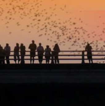 silhouette of people on bridge at sunset