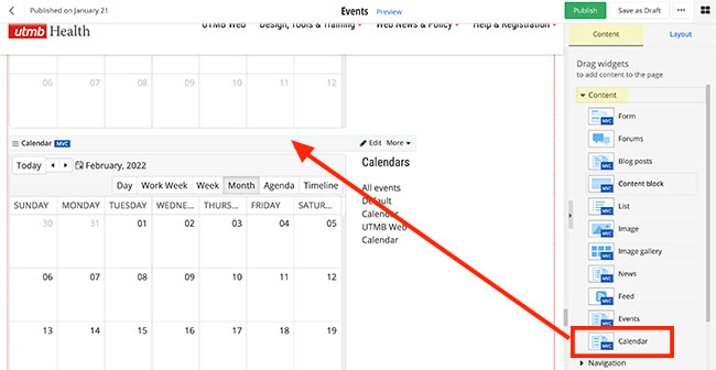 screenshot of calendar widget on a page
