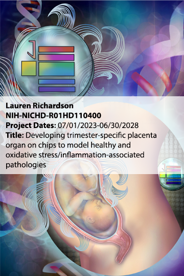 Illustrated NIH grant award graphic showing a stylized placenta and developing fetus within the uterus, overlaid with abstract DNA strands and an organ‑on‑chip icon.