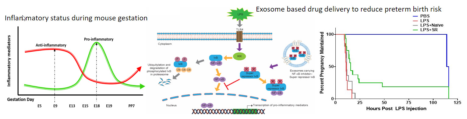 Exosome Research