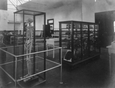 Former Anatomical Display, third floor, "Old Red", circa 1900