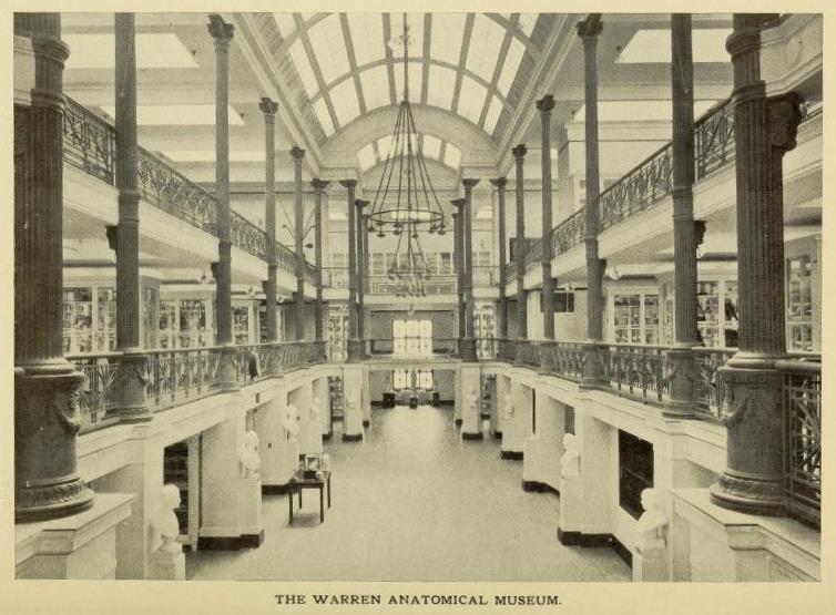 Warren Museum_1906_whitney