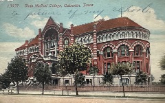 Colorized photograph of a large, ornate brick Romanesque Revival style building with arched windows and decorative stonework, with a central staircase. There is a wooden fence around the perimeter of the building. Several trees are in the foreground.