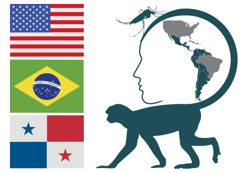 CREATE-NEO Logo_Vertical 3 flags_United States_Brazil_Panama