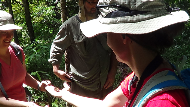 sm_Hanley Vasilakis and Yound sampling Glomerida (pill millipede) in Borneo