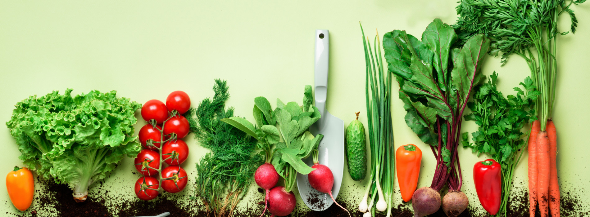 Vegetable on green background