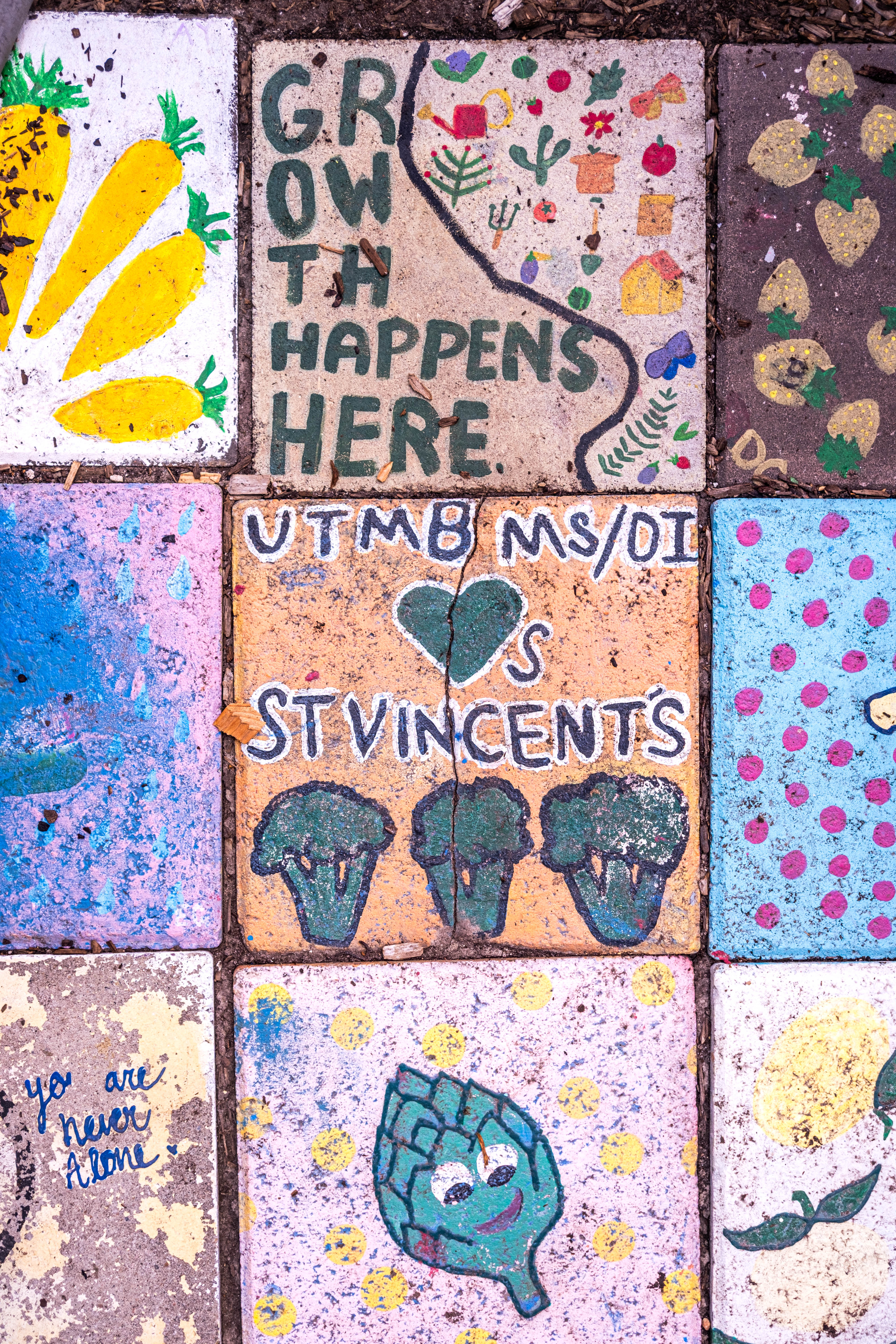 Painted tiles in the H.O.P.E. Garden. Decorated garden pavers display painted vegetables, plants, and the messages “GROWTH HAPPENS HERE” and “UTMB MS/DI LOVES ST. VINCENTS.”