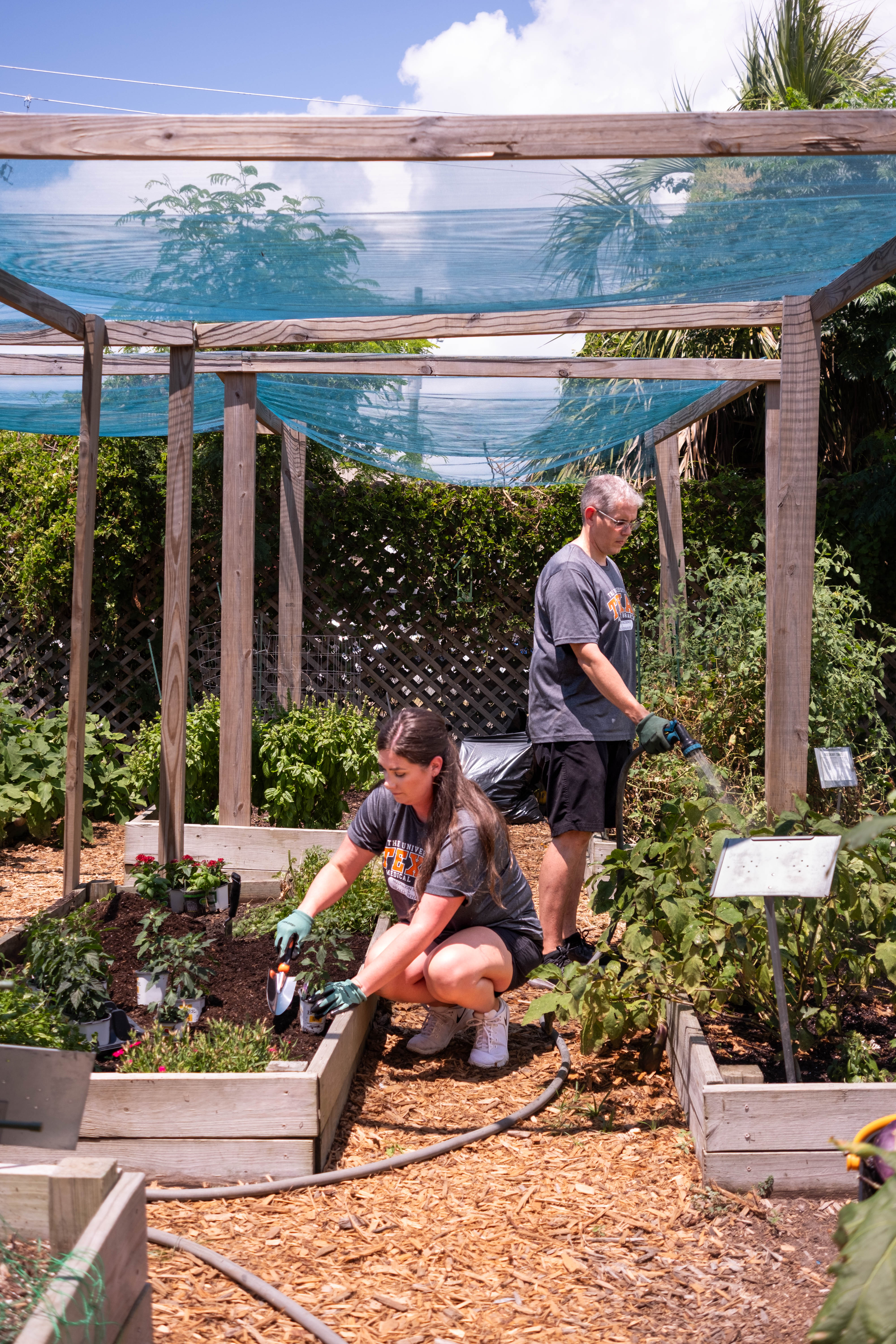 Blair Brown and Chris Messenger in the H.O.P.E. Garden Two people work in raised garden beds outdoors, with one using a hand trowel and the other watering plants. Wooden garden structures with shade cloth are visible above the planting areas.