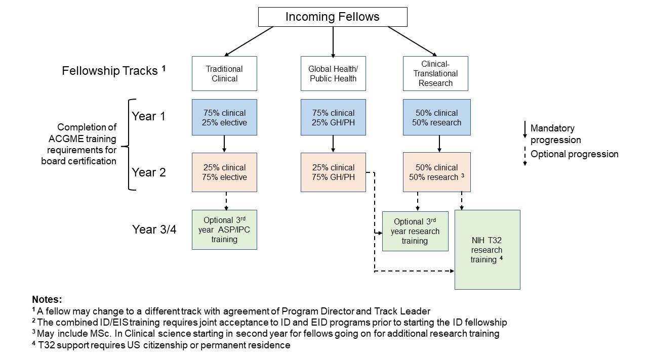 Infectious Disease Fellowship Tracks
