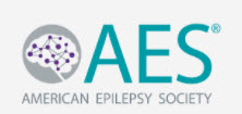 American Epilepsy Society
