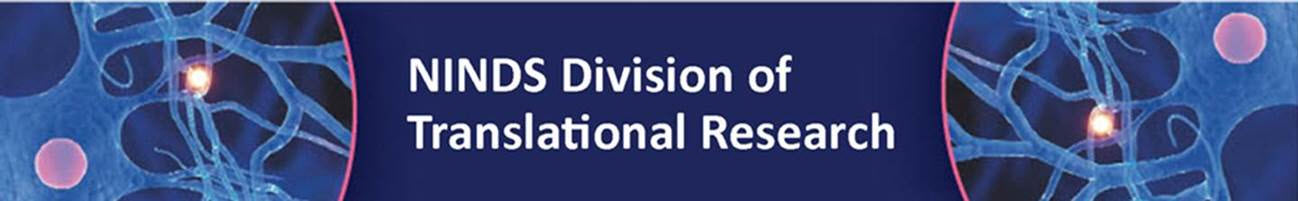NINDS Translational Research Logo