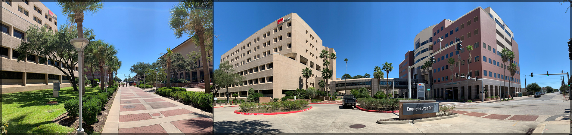 Panoramic view of UTMB campus buildings with sidewalks, palm trees, and hospital entrances under a clear blue sky.