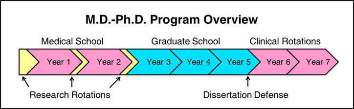md phd programs length