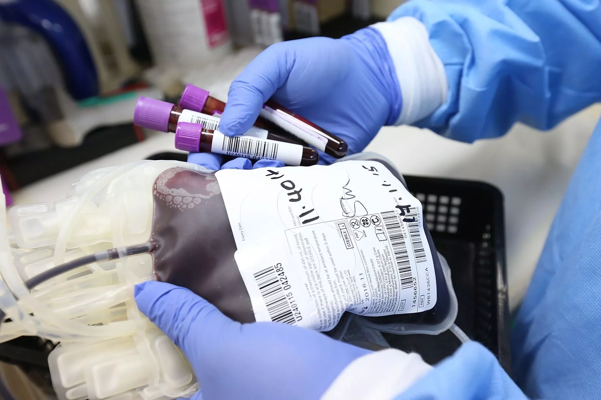 Gloved hands holding labeled blood collection tubes above a sealed bag of donated blood in a clinical laboratory setting.