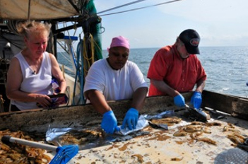 Scientists work with local fishermen