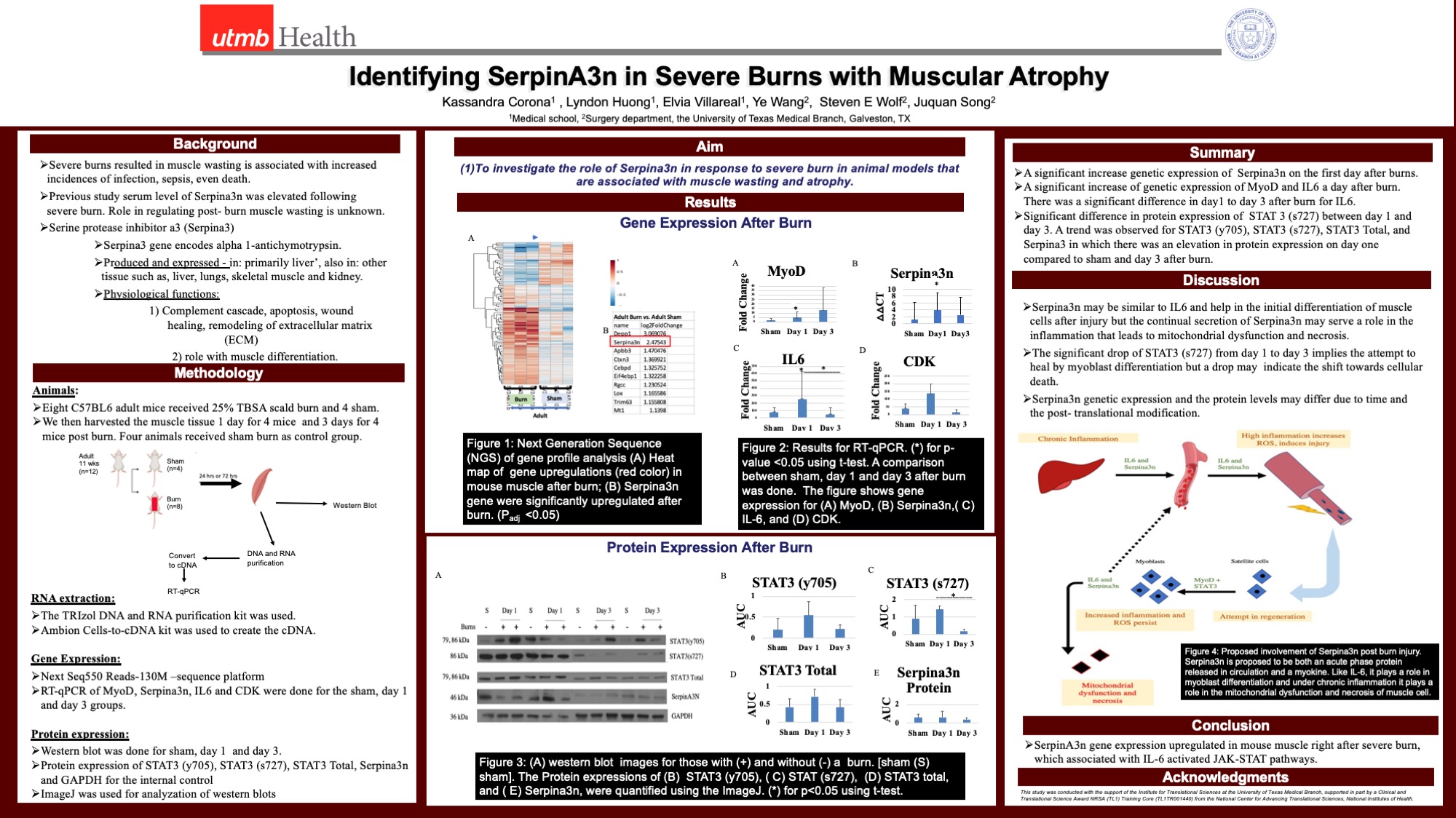 Research poster outlining study on severe burns with muscular atrophy by Kassandra Corona et al.