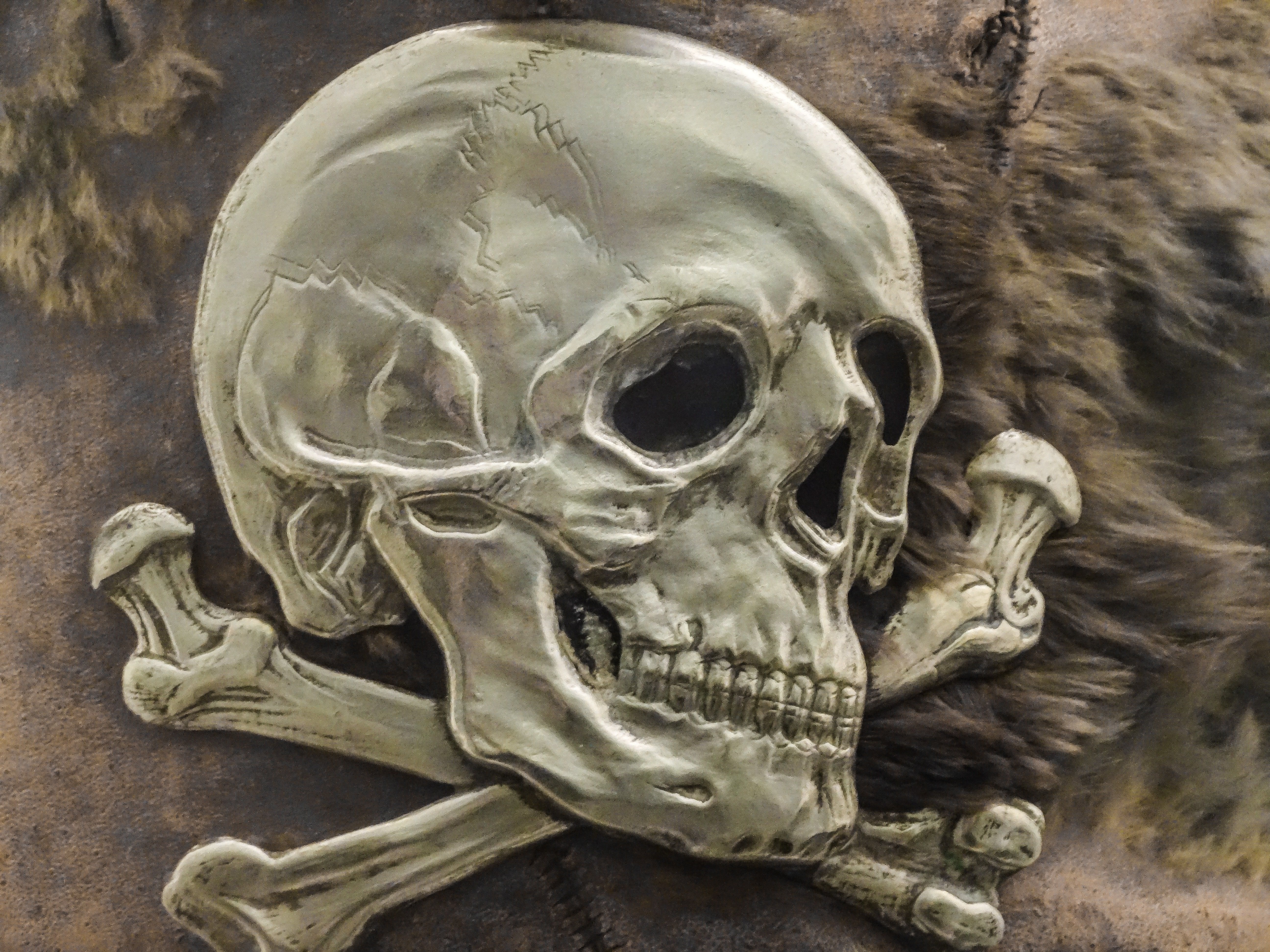 illustration of polished skull and crossbones