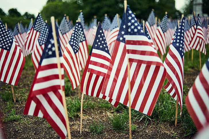 Rows of small American flags planted in the ground, with several flags in sharp focus in the foreground and many more fading into the background.