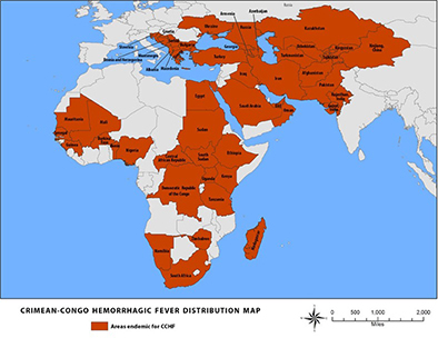 World Map Showing Regions Associated With Tick Distribution World map with multiple regions shaded to indicate geographic distribution related to ticks.