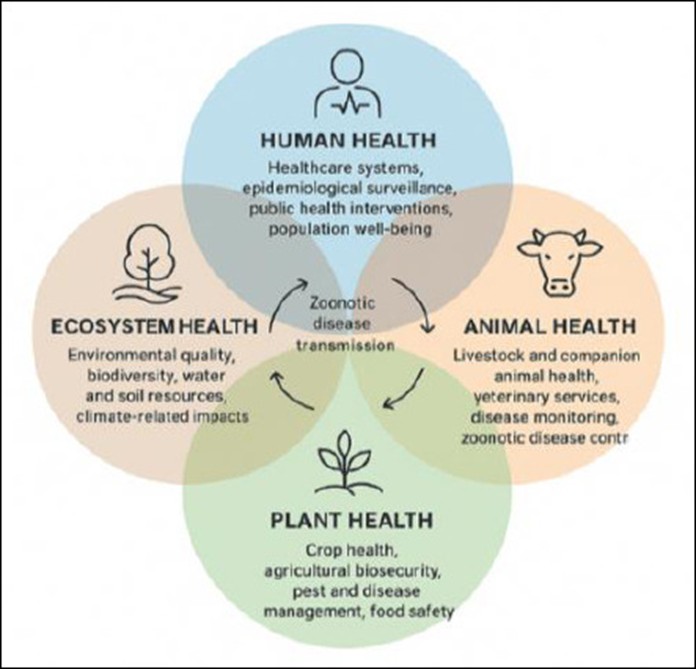 One Health in Ukraine
