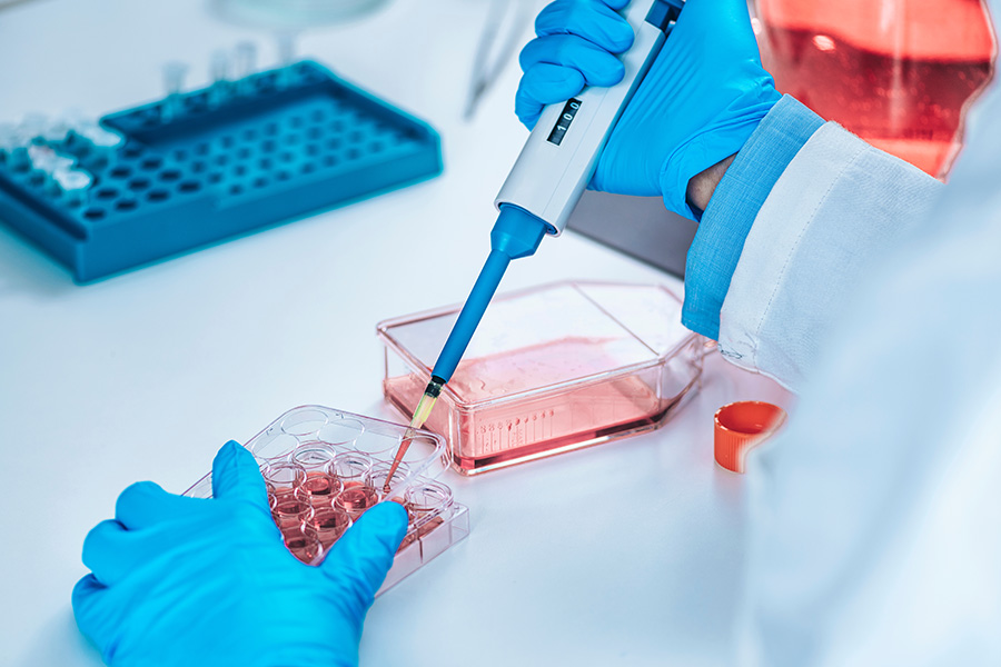 person in a lab working with a pipette and cultures